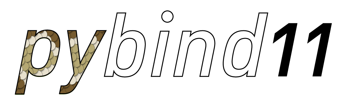 custom/pybind